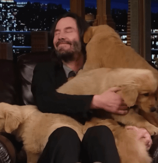 Cheezburger Image 10607187200