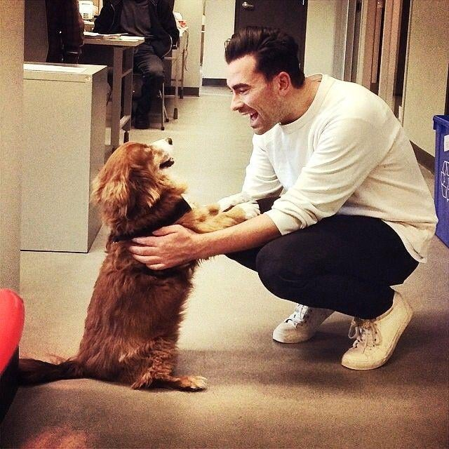 Cheezburger Image 10607187968