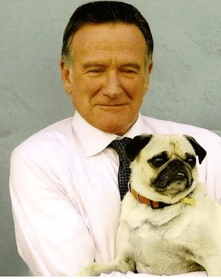 Cheezburger Image 10607188224