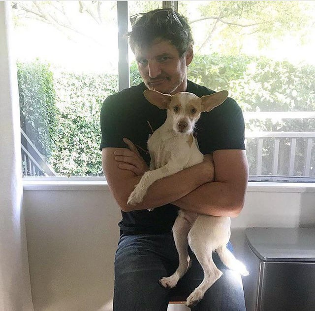 Cheezburger Image 10607189248