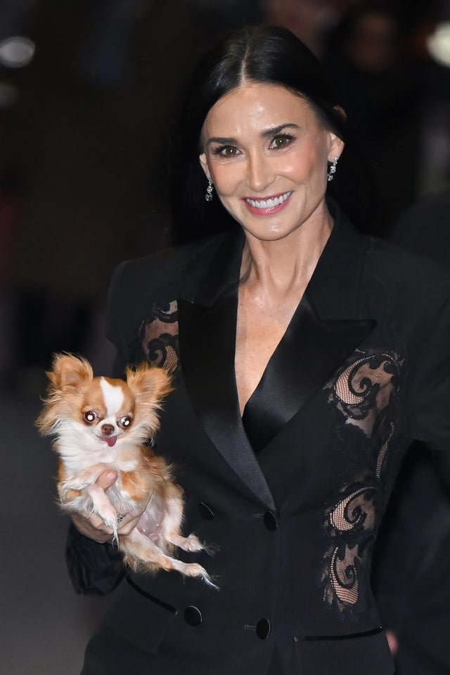 Cheezburger Image 10607190528