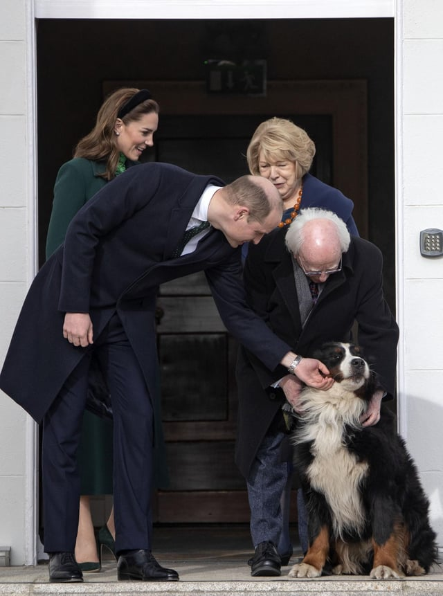 Cheezburger Image 10607191040