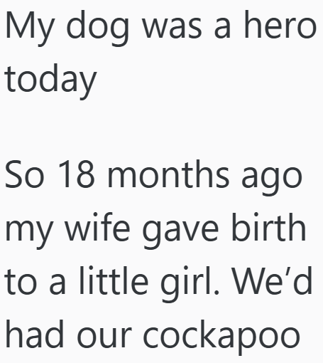 My dog was a hero today So 18 months ago my wife gave birth to a little girl. We'd had our cockapoo