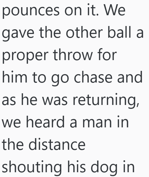 pounces on it. We gave the other ball a proper throw for him to go chase and as he was returning, we heard a man in the distance shouting his dog in