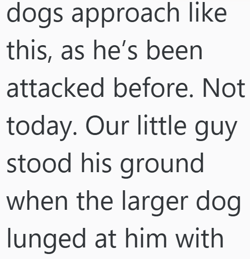 dogs approach like this, as he's been attacked before. Not today. Our little guy stood his ground when the larger dog lunged at him with