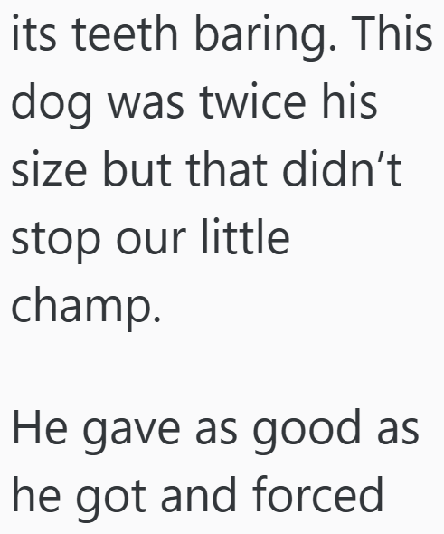 its teeth baring. This dog was twice his size but that didn't stop our little champ. He gave as good as he got and forced