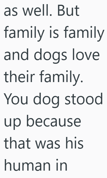 as well. But family is family and dogs love their family. You dog stood up because that was his human in