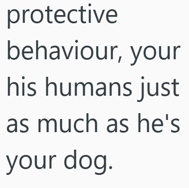 protective behaviour, your his humans just as much as he's your dog.