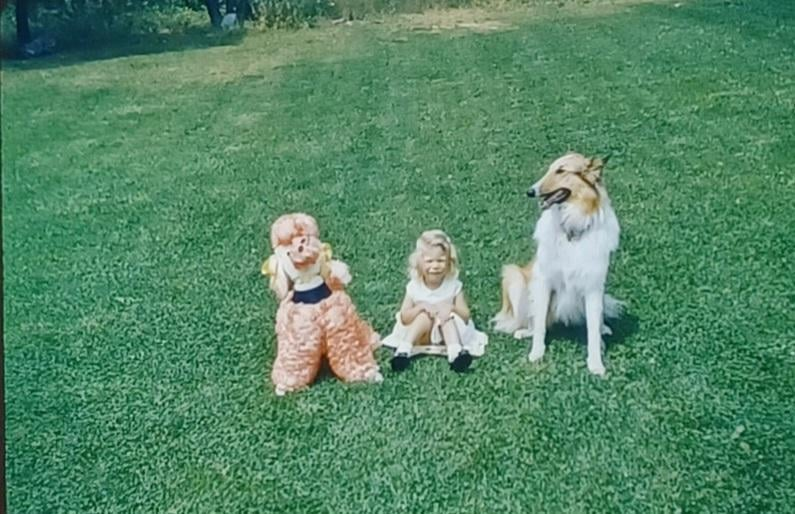 Cheezburger Image 10607223296