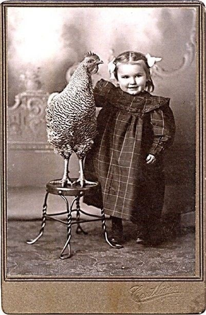 Cheezburger Image 10607225600