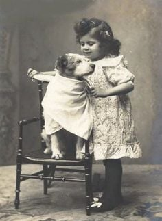 Cheezburger Image 10607226624