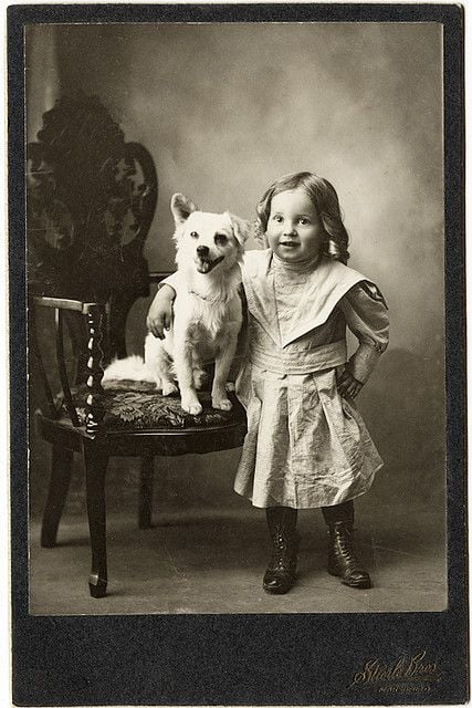 Cheezburger Image 10607227648