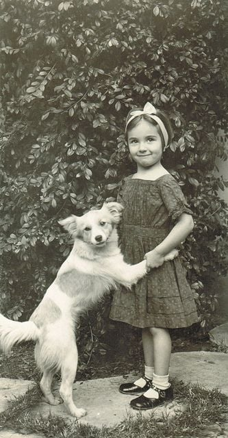 Cheezburger Image 10607228416