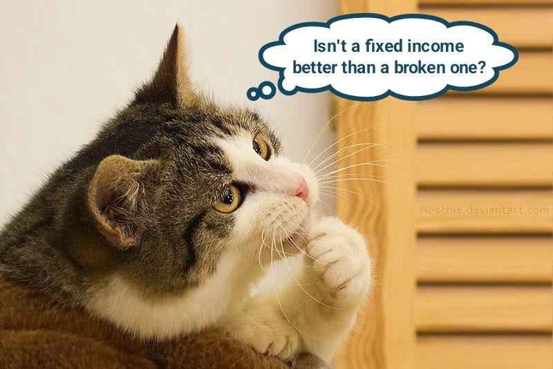 Cheezburger Image 10607248384