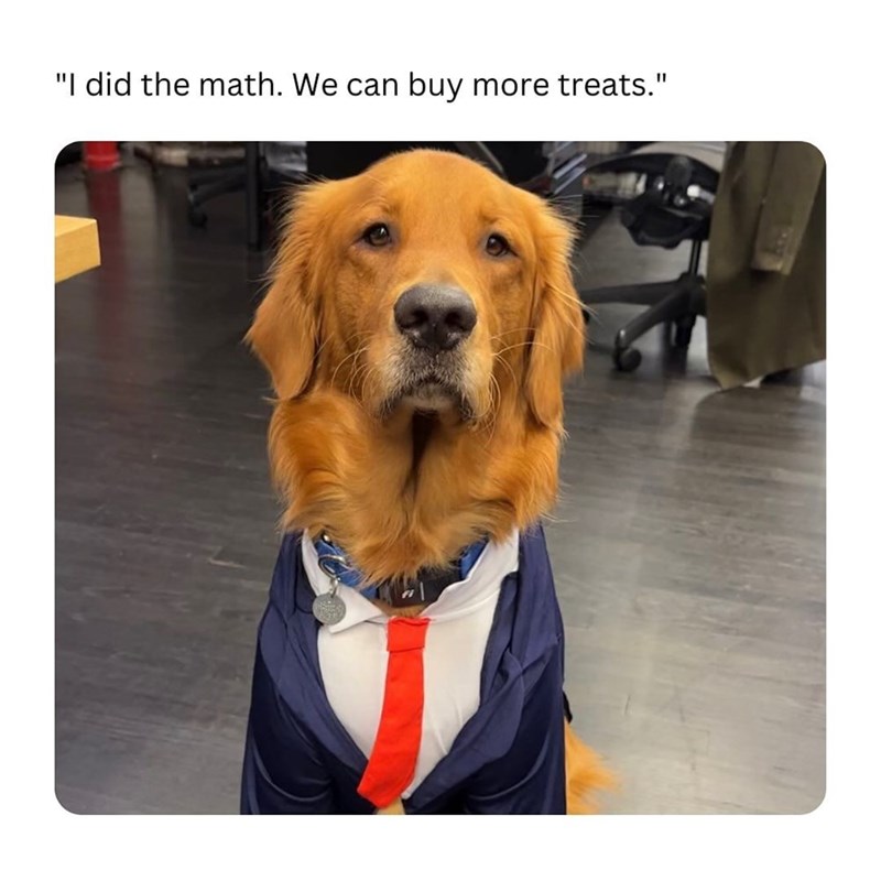 "I did the math. We can buy more treats."