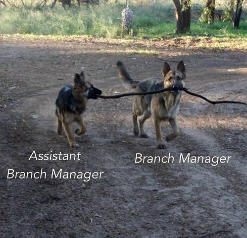 Assistant Branch Manager Branch Manager