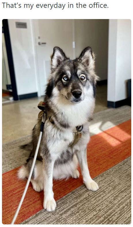 That's my everyday in the office.