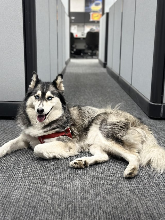 Cheezburger Image 10607537920