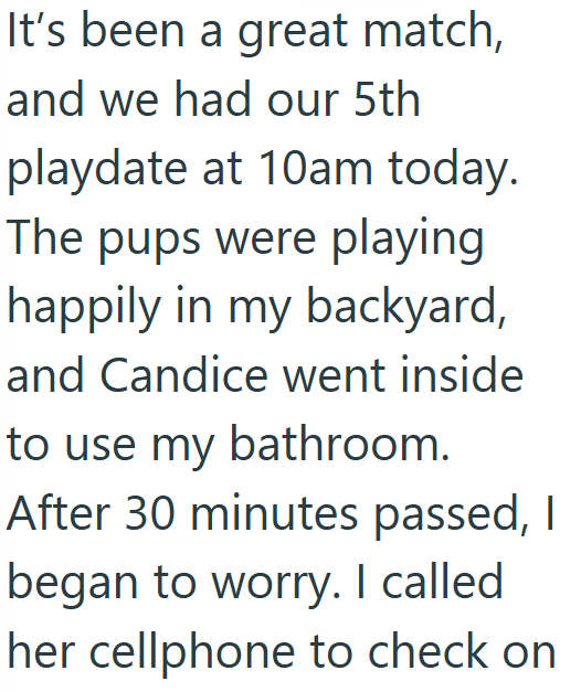 It's been a great match, and we had our 5th playdate at 10am today. The pups were playing happily in my backyard, and Candice went inside to use my bathroom. After 30 minutes passed, I began to worry. I called her cellphone to check on