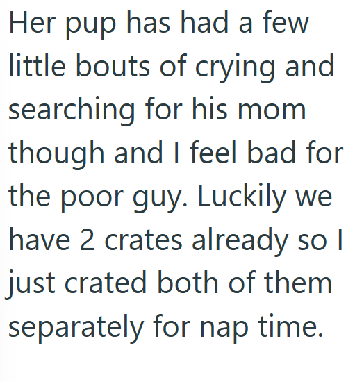 Her pup has had a few little bouts of crying and searching for his mom though and I feel bad for the poor guy. Luckily we have 2 crates already so I just crated both of them separately for nap time.