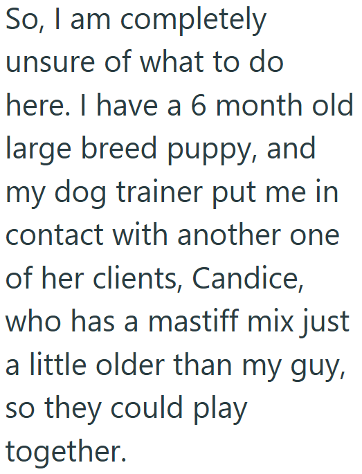 So, I am completely unsure of what to do here. I have a 6 month old large breed puppy, and my dog trainer put me in contact with another one of her clients, Candice, who has a mastiff mix just a little older than my guy, so they could play together.