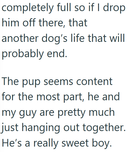 completely full so if I drop him off there, that another dog's life that will probably end. The pup seems content for the most part, he and my guy are pretty much just hanging out together. He's a really sweet boy.