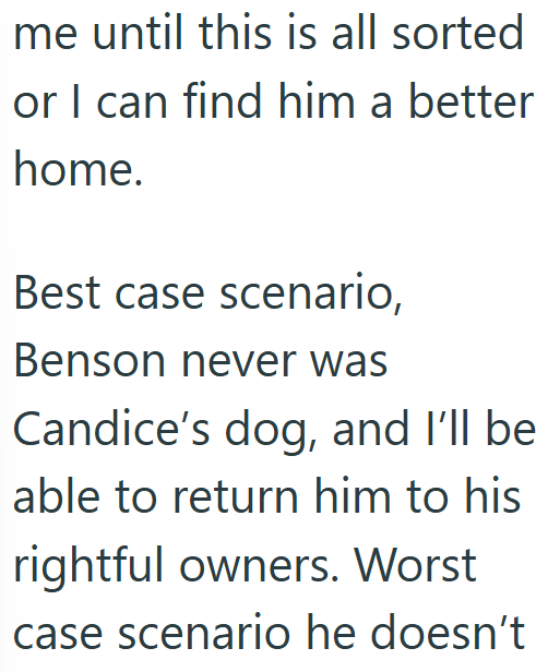 me until this is all sorted or I can find him a better home. Best case scenario, Benson never was Candice's dog, and I'll be able to return him to his rightful owners. Worst case scenario he doesn't