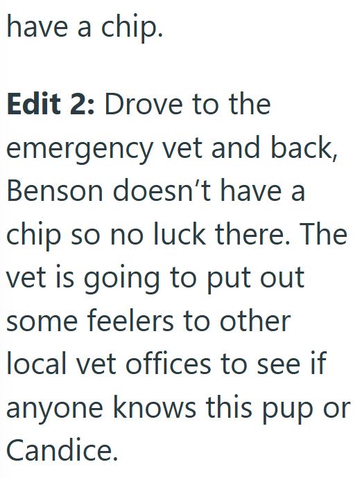 have a chip. Edit 2: Drove to the emergency vet and back, Benson doesn't have a chip so no luck there. The vet is going to put out some feelers to other local vet offices to see if anyone knows this pup or Candice.