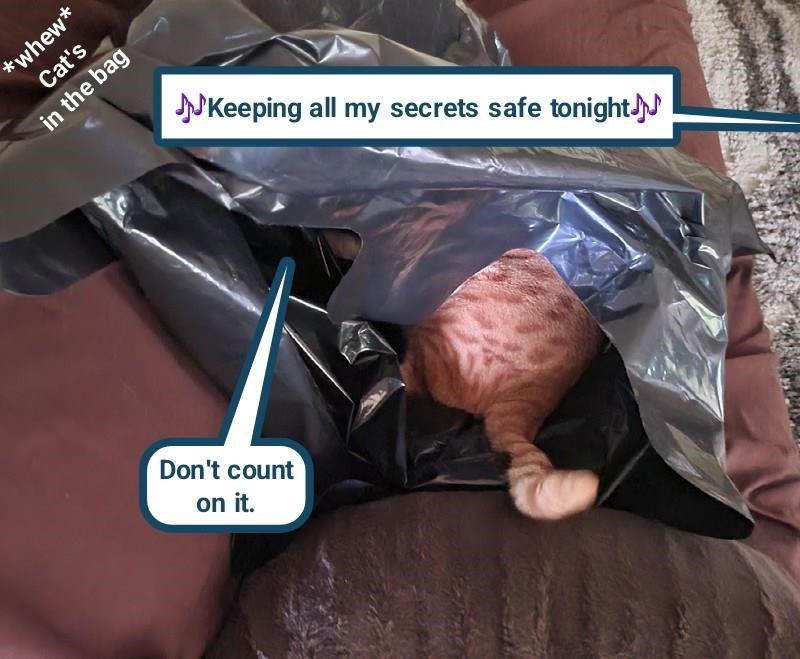 Cheezburger Image 10607553792