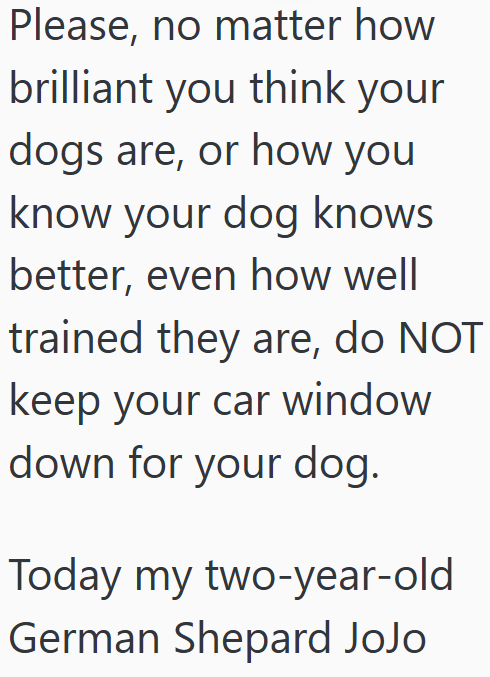 Please, no matter how brilliant you think your dogs are, or how you know your dog knows better, even how well trained they are, do NOT keep your car window down for your dog. Today my two-year-old German Shepard JoJo