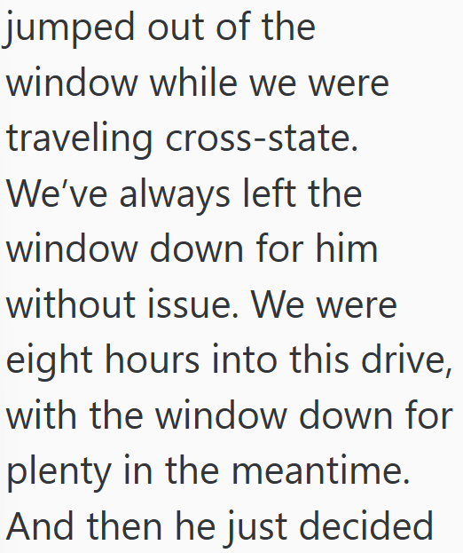 jumped out of the window while we were traveling cross-state. We've always left the window down for him without issue. We were eight hours into this drive, with the window down for plenty in the meantime. And then he just decided