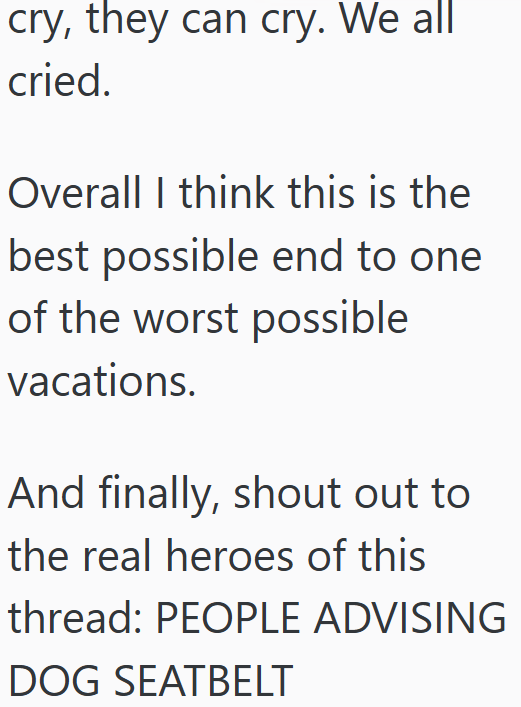 cry, they can cry. We all cried. Overall I think this is the best possible end to one of the worst possible vacations. And finally, shout out to the real heroes of this thread: PEOPLE ADVISING DOG SEATBELT