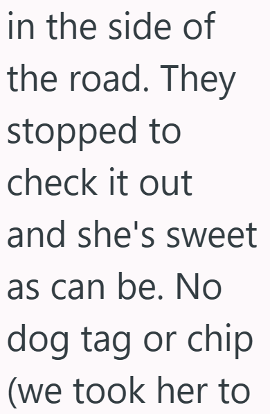 in the side of the road. They stopped to check it out and she's sweet as can be. No dog tag or chip (we took her to