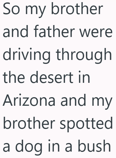 So my brother and father were driving through the desert in Arizona and my brother spotted a dog in a bush