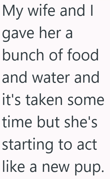 My wife and I gave her a bunch of food and water and it's taken some time but she's starting to act like a new pup.