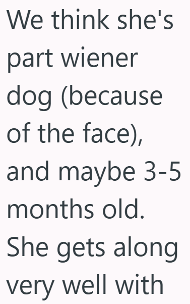 We think she's part wiener dog (because of the face), and maybe 3-5 months old. She gets along very well with