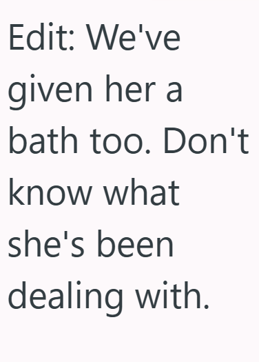 Edit: We've given her a bath too. Don't know what she's been dealing with.