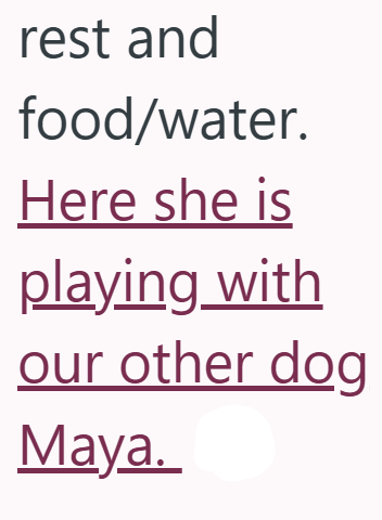 rest and food/water. Here she is playing with our other dog Maya.