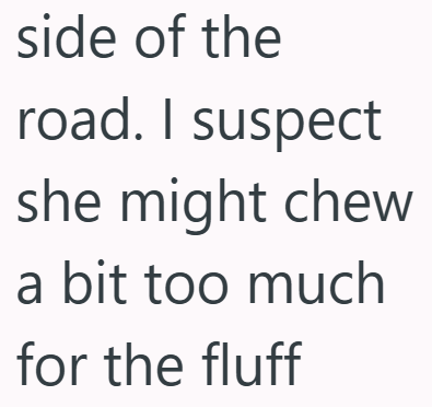 side of the road. I suspect she might chew a bit too much for the fluff