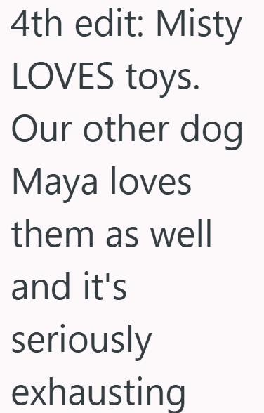 4th edit: Misty LOVES toys. Our other dog Maya loves them as well and it's seriously exhausting