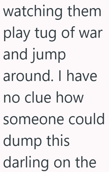 watching them play tug of war and jump around. I have no clue how someone could dump this darling on the