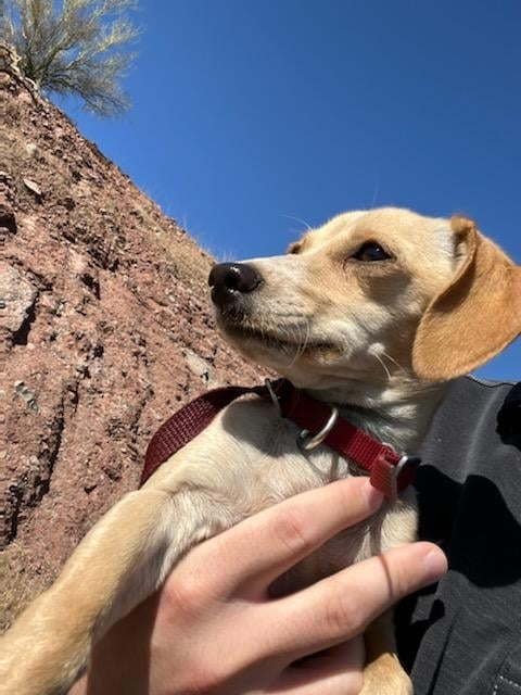 Cheezburger Image 10607571200