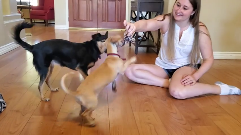 Cheezburger Image 10607572480