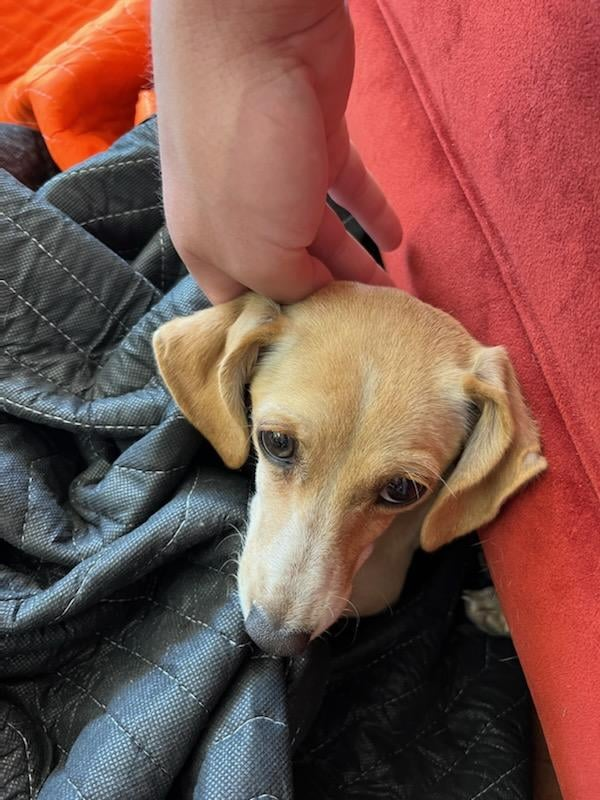 Cheezburger Image 10607572992