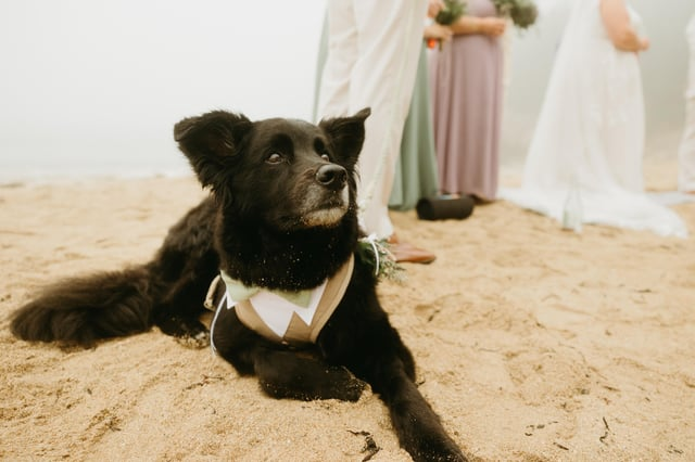 Cheezburger Image 10607580928