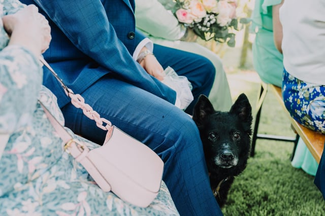 Cheezburger Image 10607581440