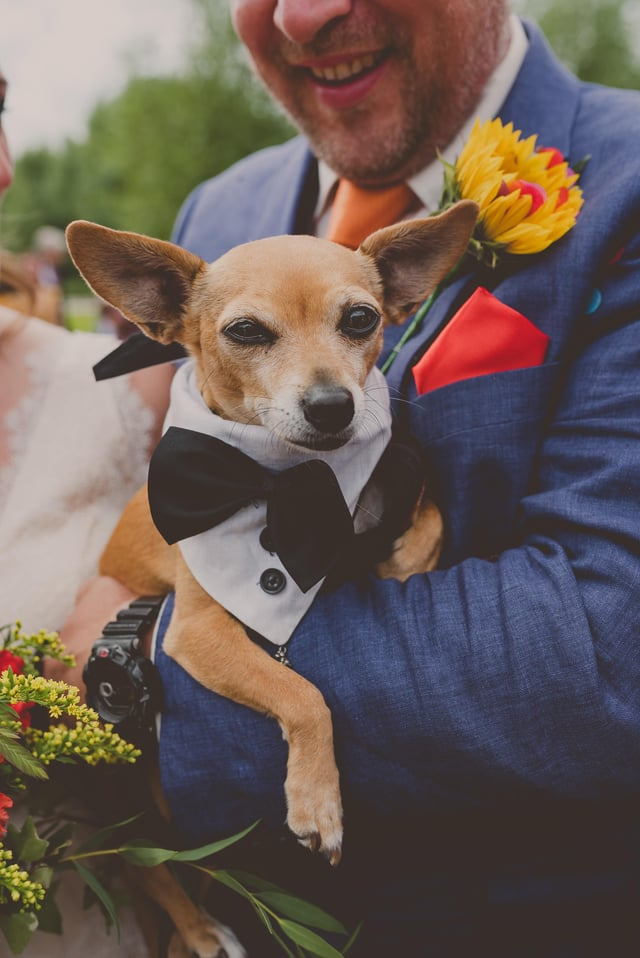 Cheezburger Image 10607581952