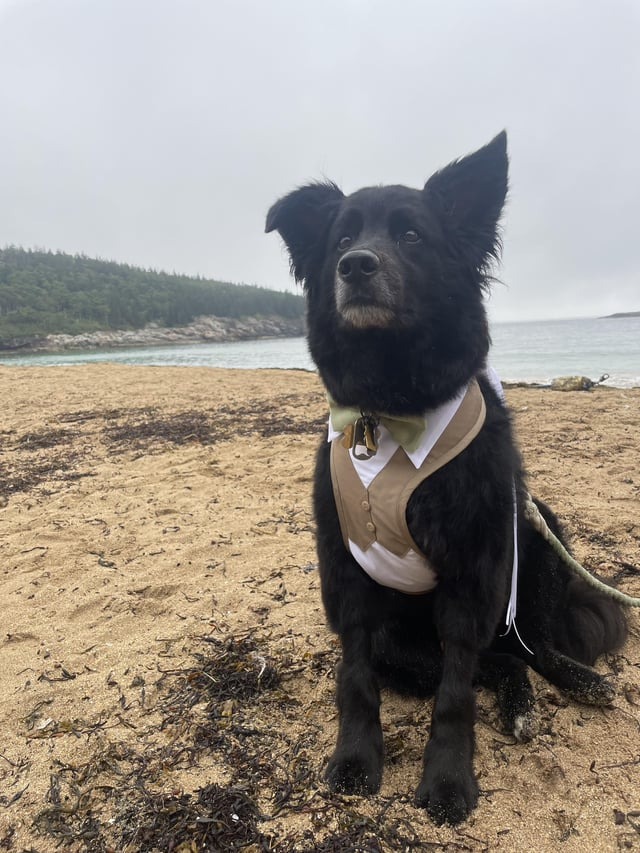 Cheezburger Image 10607582464