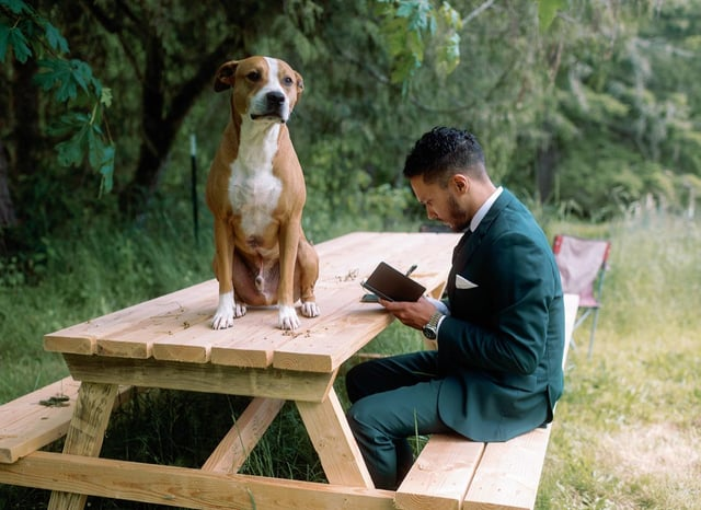 Cheezburger Image 10607583744