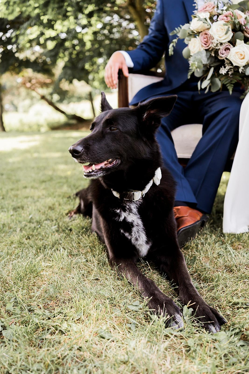 Cheezburger Image 10607584000